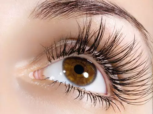 Does vaseline make your eyelashes grow​